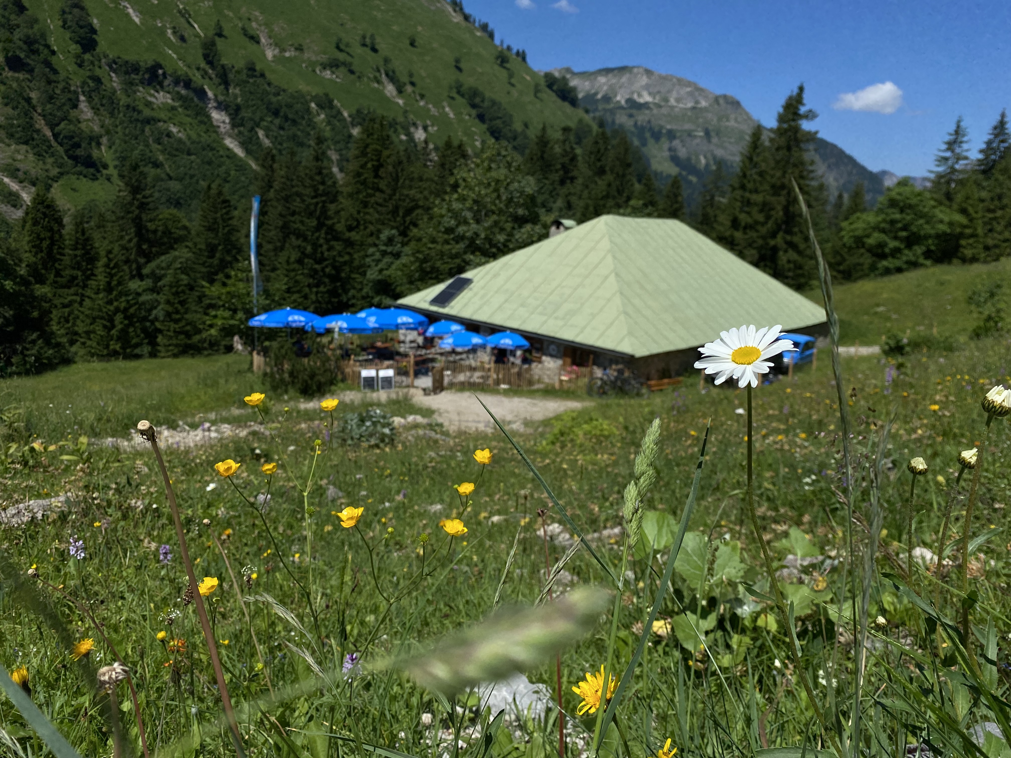 Alpe Bärgündle